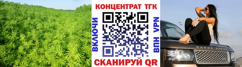 Купить закладки  Красноармейск  ТГК Wax 