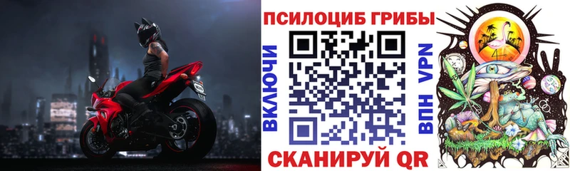 Галлюциногенные грибы Psilocybe  Купить где  Красноармейск 